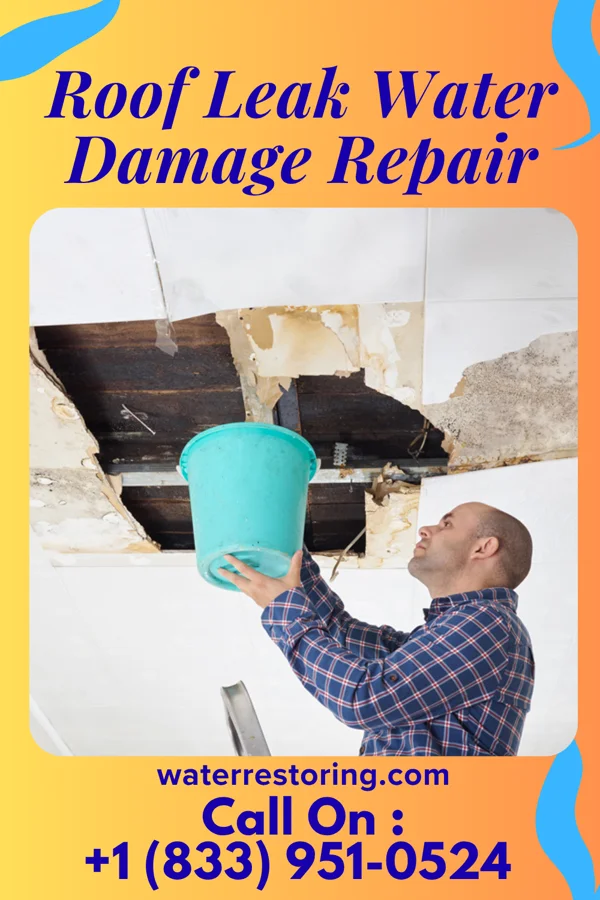 Roof Leak Water Damage Repair in Wright City, OK
