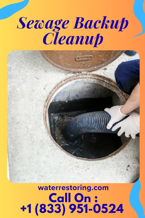 Sewage Backup Cleanup in Wright City, OK